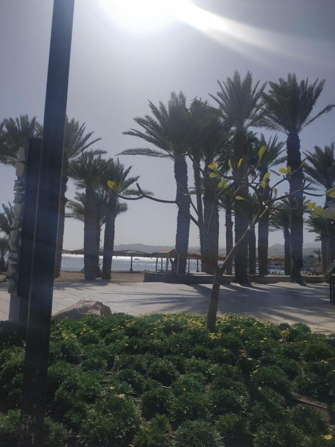 Red View Beer Ora נוף אדום באר אורה Hotell Exteriör bild